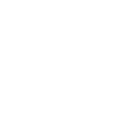 Software ícone